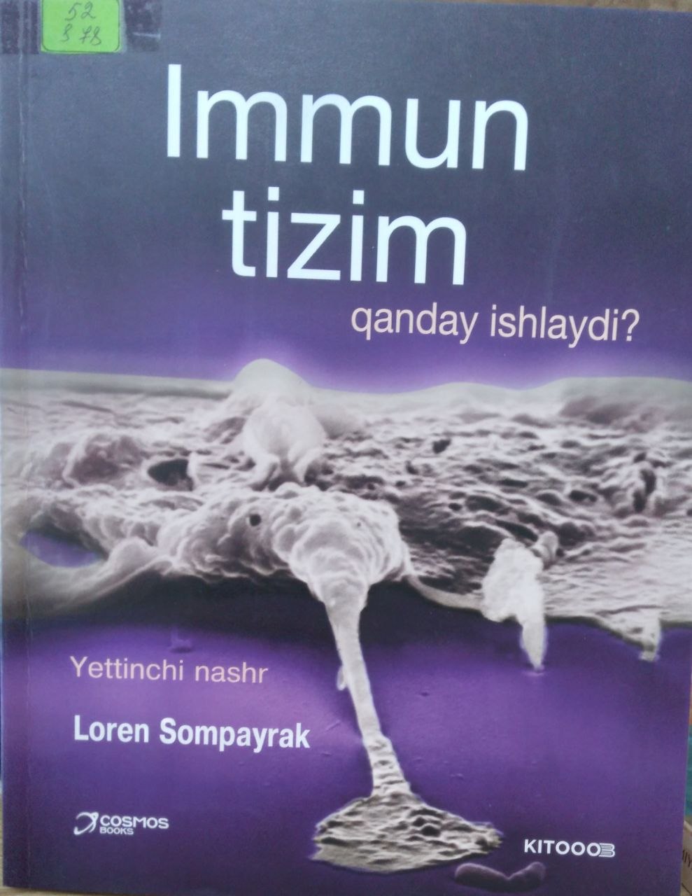 Immun tizim