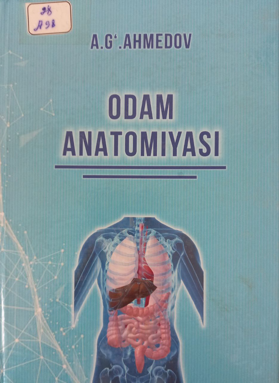 Odam anatomiyasi