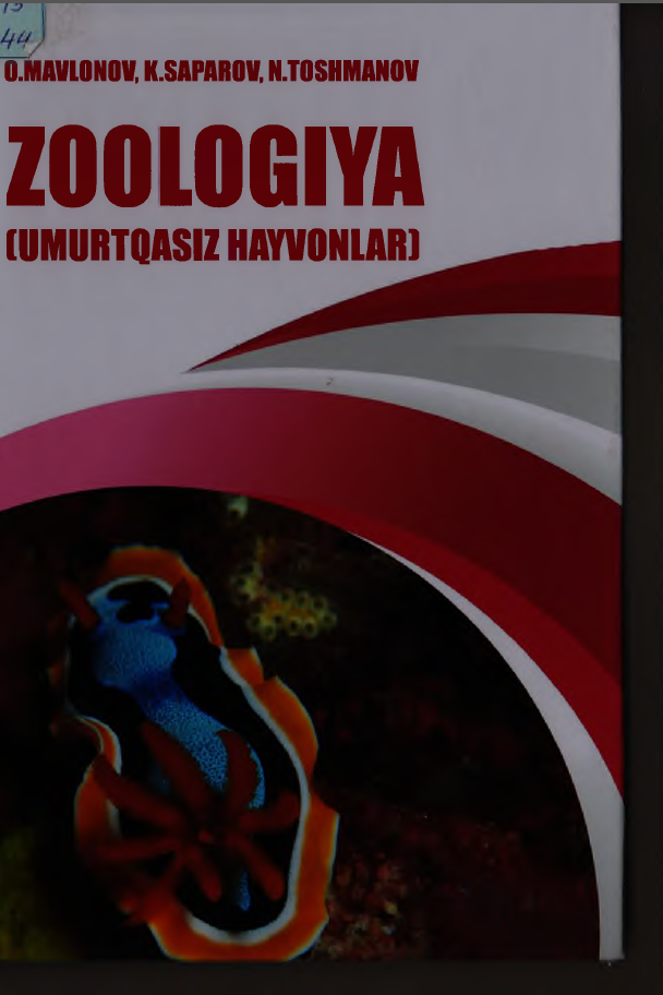 Z O O L O G I Y A (umurtqasiz hayvoniar