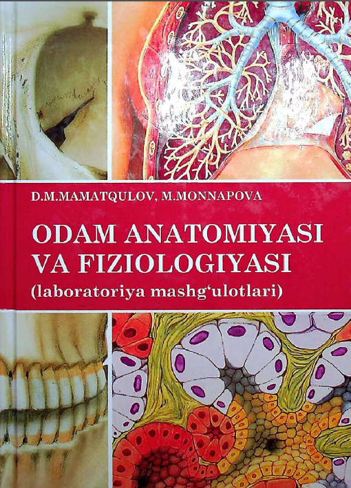 Odam anatomiyasi va fiziologiyasi