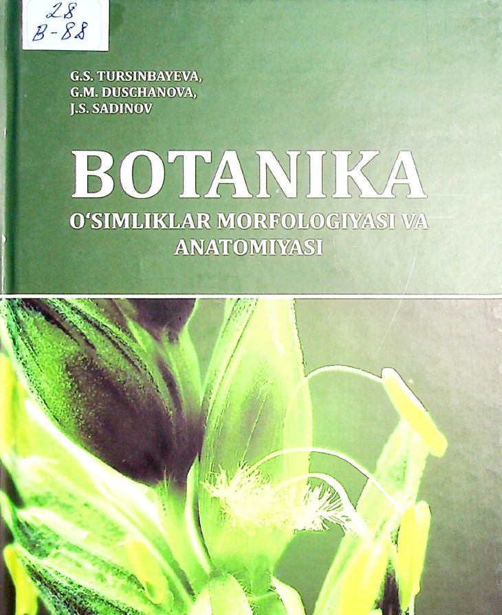 Botanika o'simliklar morfologiyasi va anatomiyasi