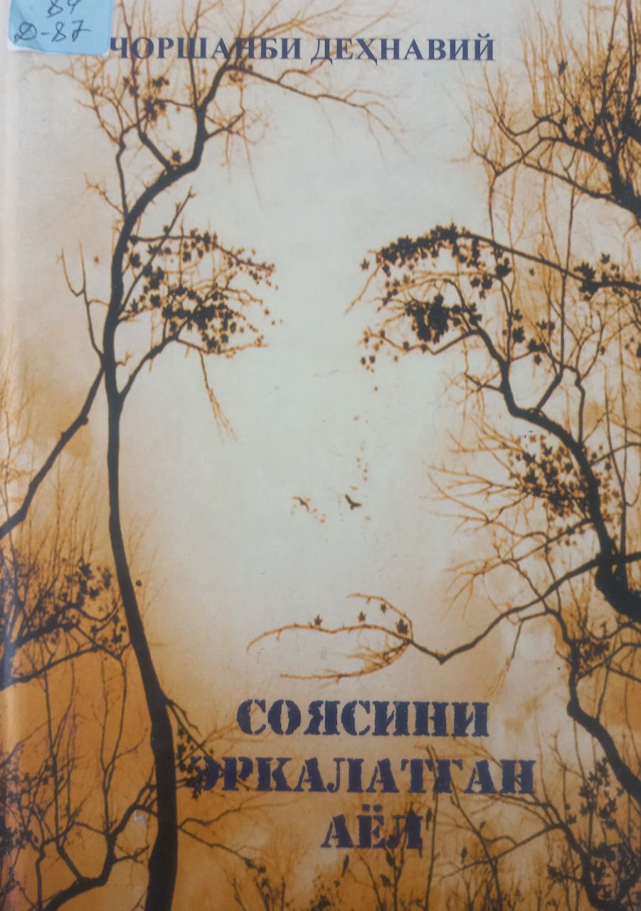 Соясини эркалатган аёл Соясини эркалатган аёл