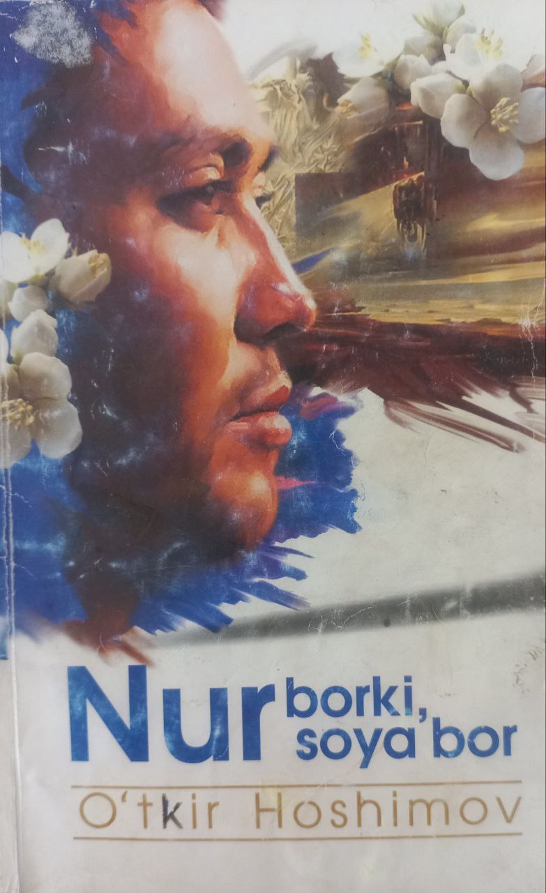 Nur borki soya bor