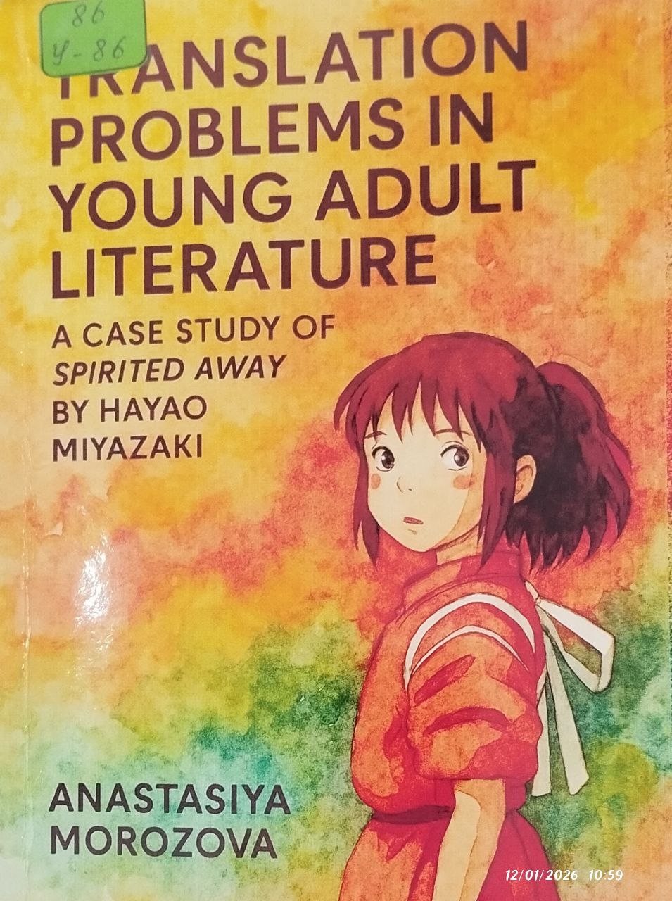 TRANSLATION PROBLEMS IN YOUNG ADULT LITERATURE