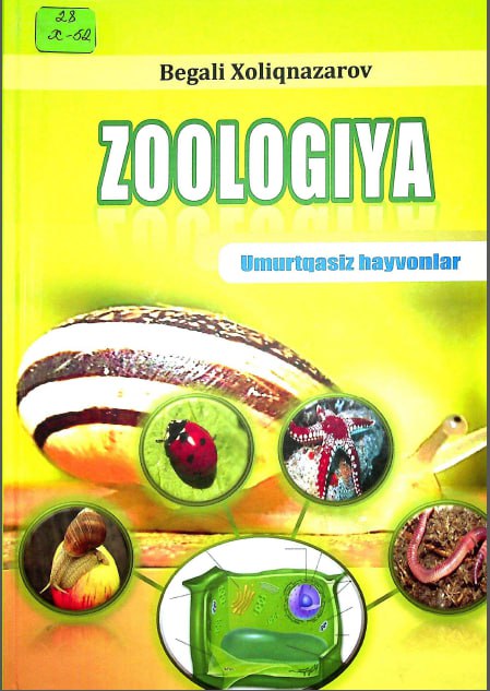 Zoologiya umurtqasiz hayvonlar