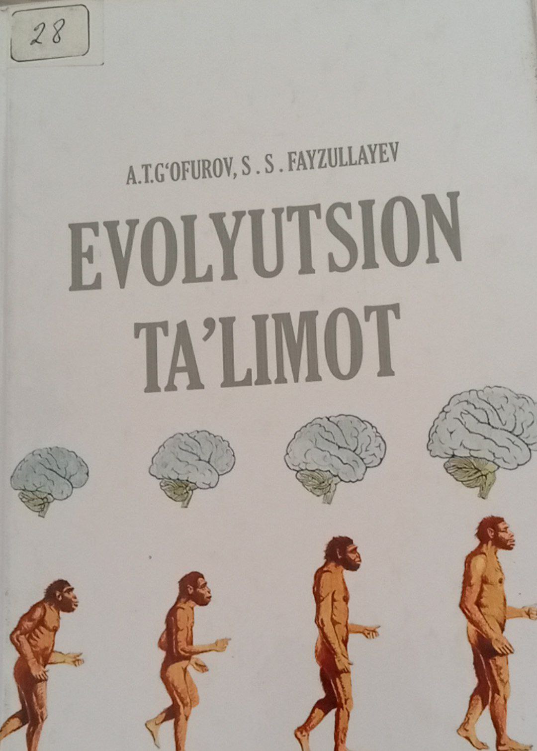 Evolyutsion ta'limot