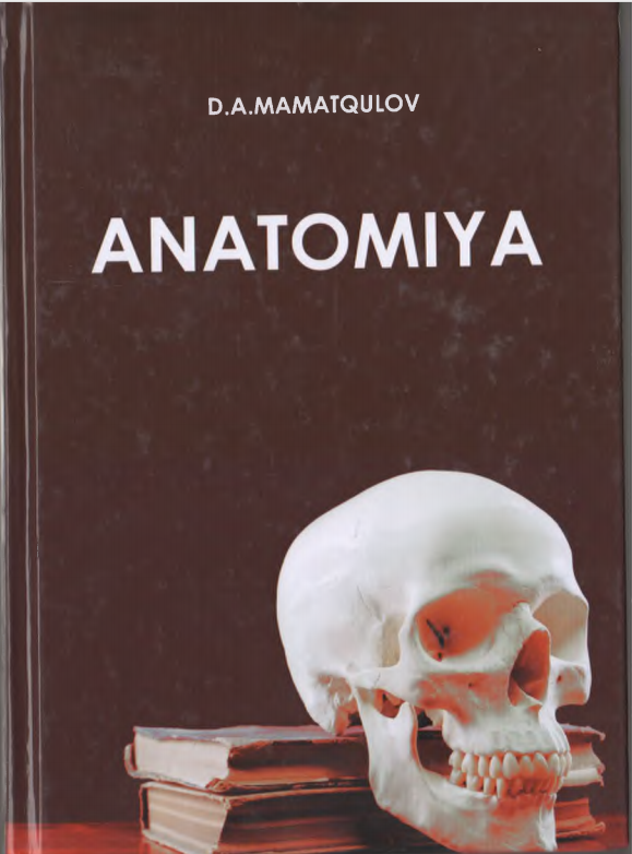 Anatomiya