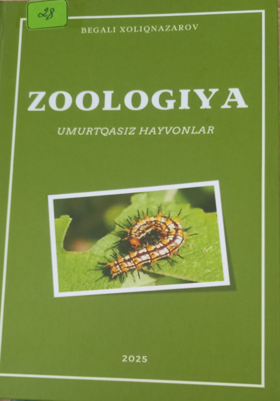 Zoologiya umurtqasiz hayvonlar