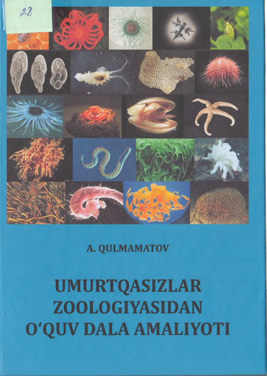 Umurtqasizlar zoologiyasidan o`quv dala amaliyoti