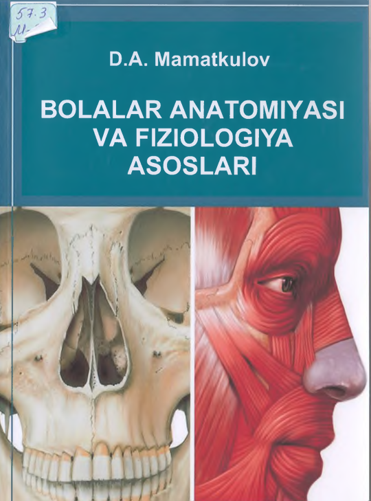 Bolalar anatomiyasi va fiziologiyasi asoslari
