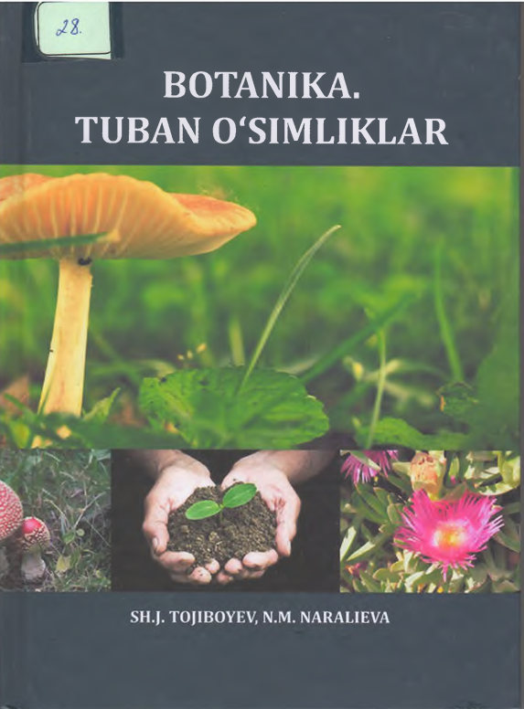 Botanika. Tuban o'simliklar