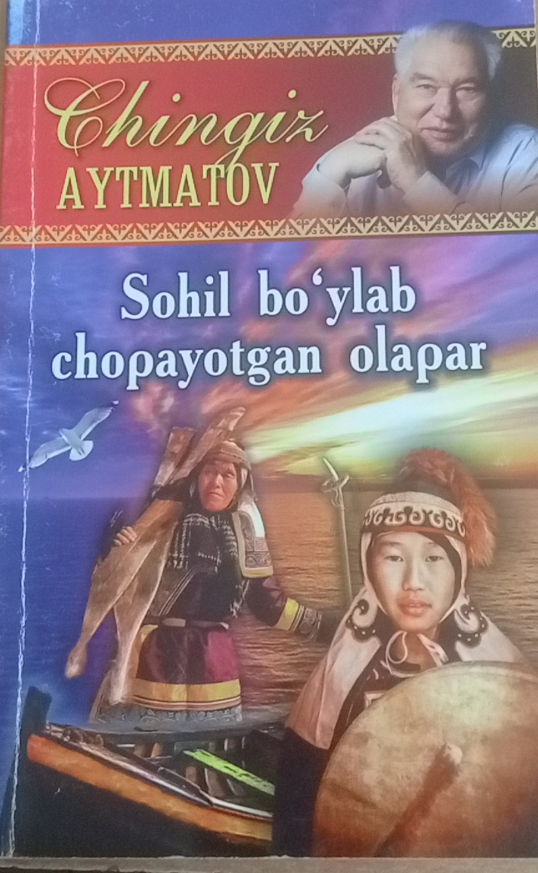 Sohil bo'ylan chopayotgan olapar