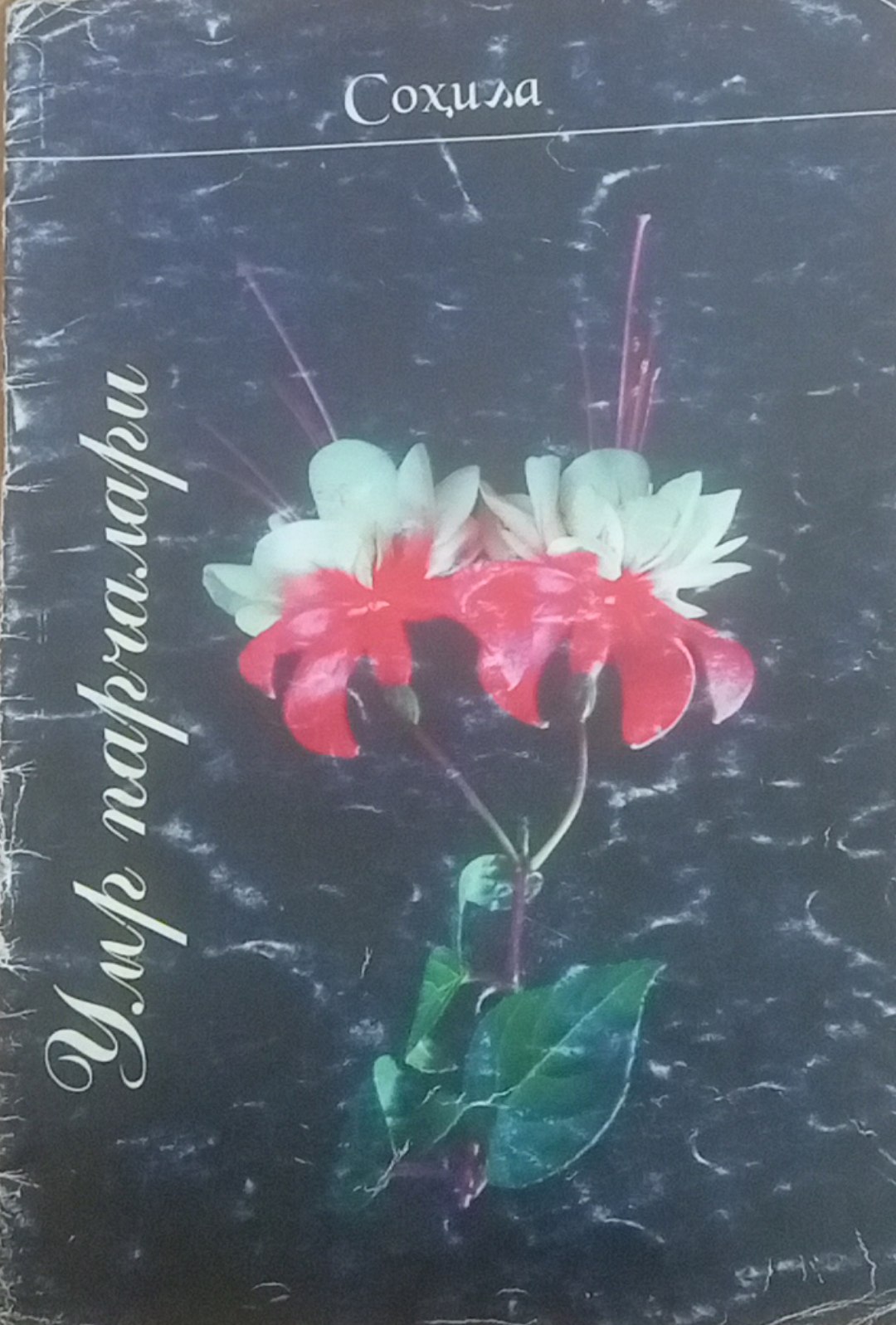 Умр парчалари