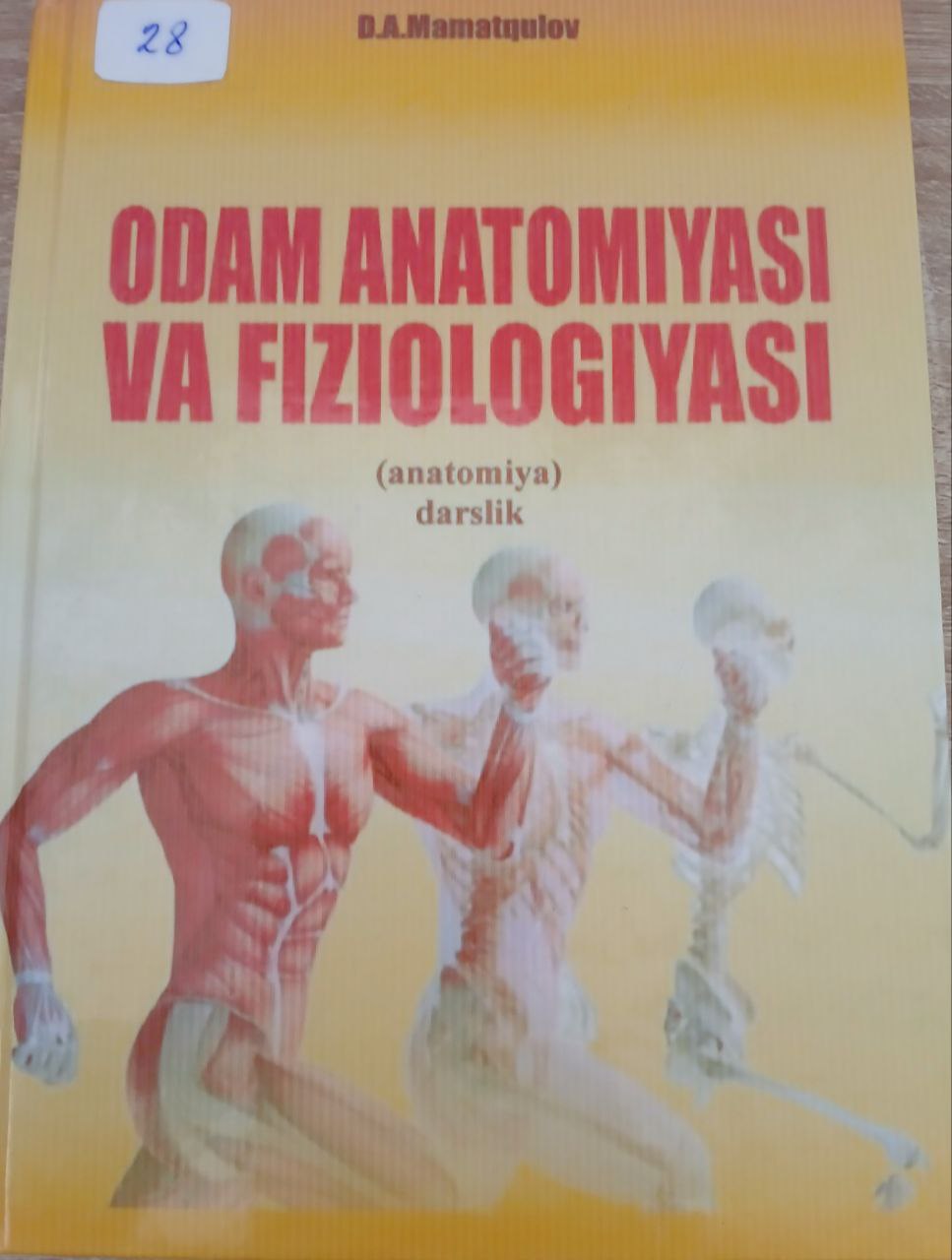 Odam anatomiyasi va fiziologiyasi