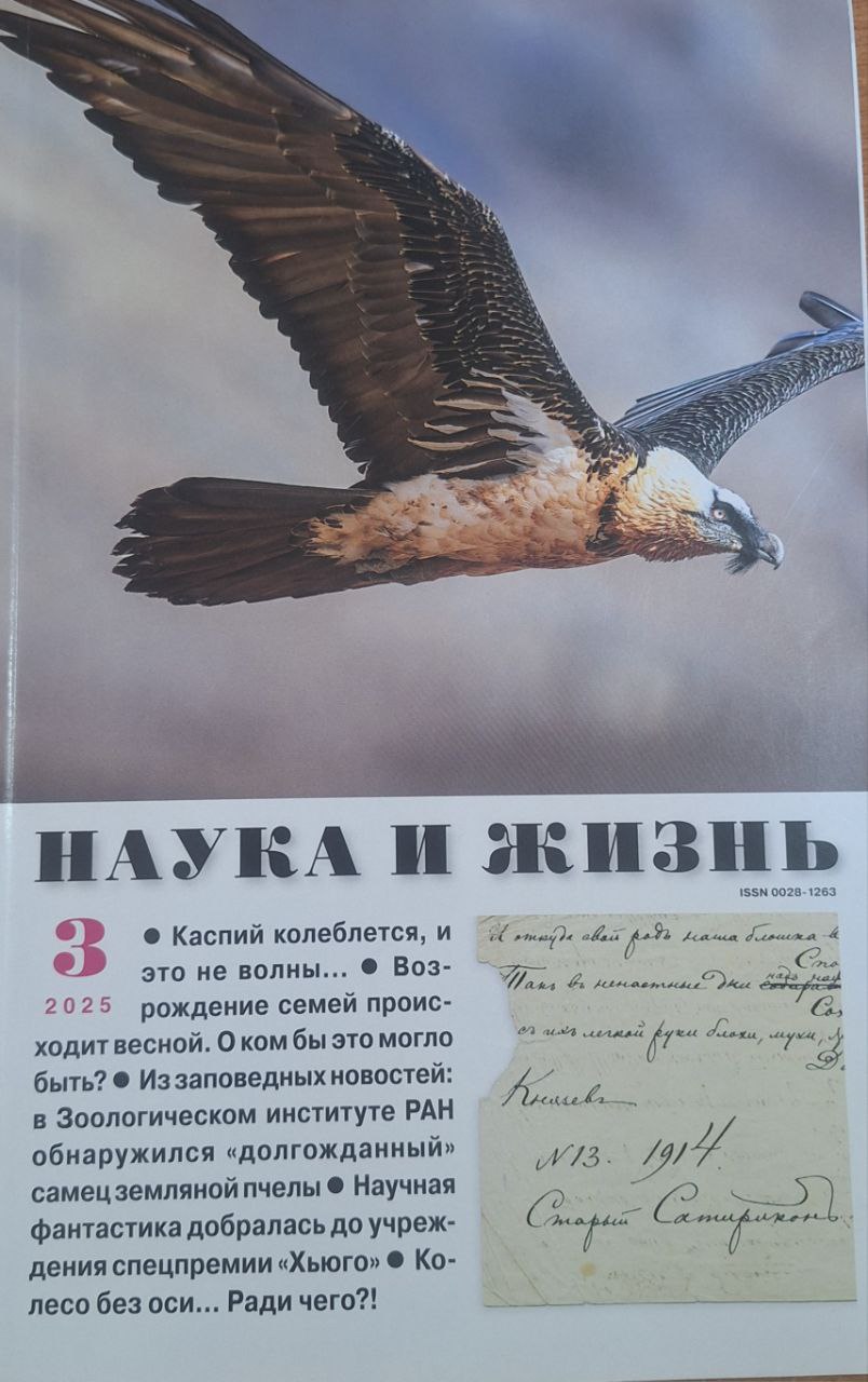 Наука и жизнь № 3 - 2025
