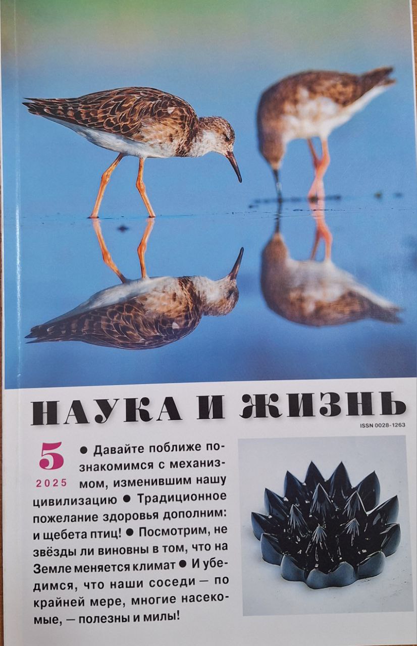 Наука и жизнь № 5 - 2025