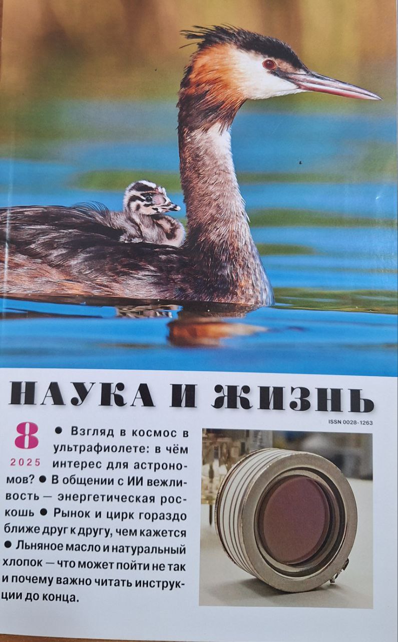 Наука и жизнь № 8 - 2025