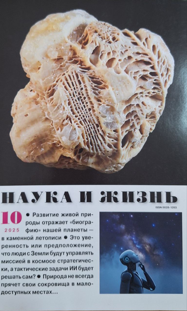 Наука и жизнь № 10 - 2025