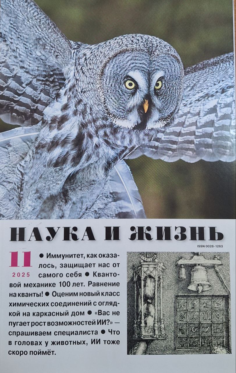 Наука и жизнь № 11 - 2025